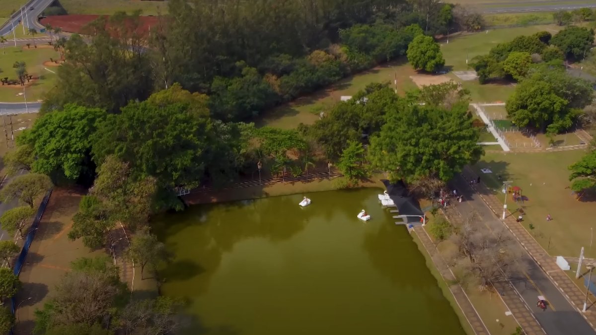 Entre essas cidades, uma se destaca por sua economia pujante. Localizada na Região Metropolitana de Campinas, Paulínia já foi a cidade mais rica do Brasil.