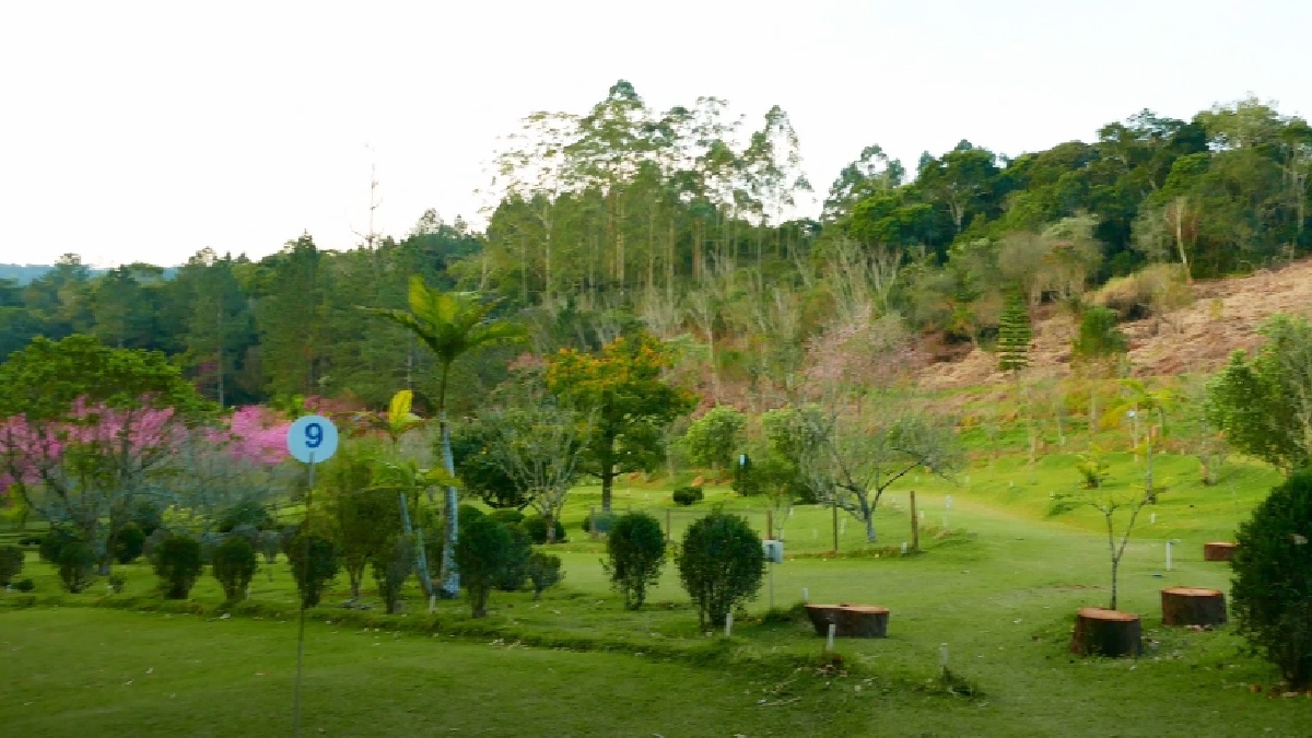 Clube Mallet Golf: O Clube Mallet Golf, fundado em 1950, é um espaço para a prática do mallet golf, um esporte tradicional japonês, e organiza eventos que promovem a cultura nipônica. O espaço tem dois campos, o primeiro com 9 mil m² e o segundo com 13 mil m², além de uma sede social totalmente equipada - (Reprodução/YouTube)