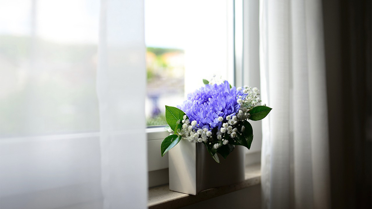Retire ou substitua tapetes e cortinas pesados por opções mais leves - Foto: congerdesign por Pixabay