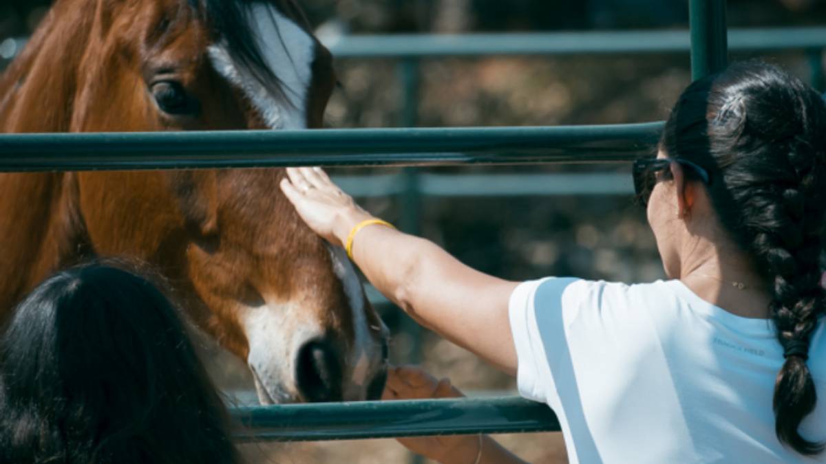 Manejo de animais, como o cavalo, é uma das apostas para atrair famílias. Foto: Divulgação