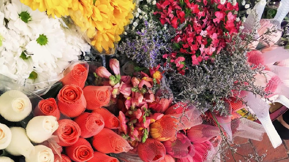 Flora: Simbolizando não apenas uma flor em específico, mas sim todas elas, está a Flora (coletivo de flores). Significando "flor" ou "planta", o nome simboliza natureza. Na mitologia romana, era a deusa da primavera - (Nubia Navarro (nubikini)/Pexels)