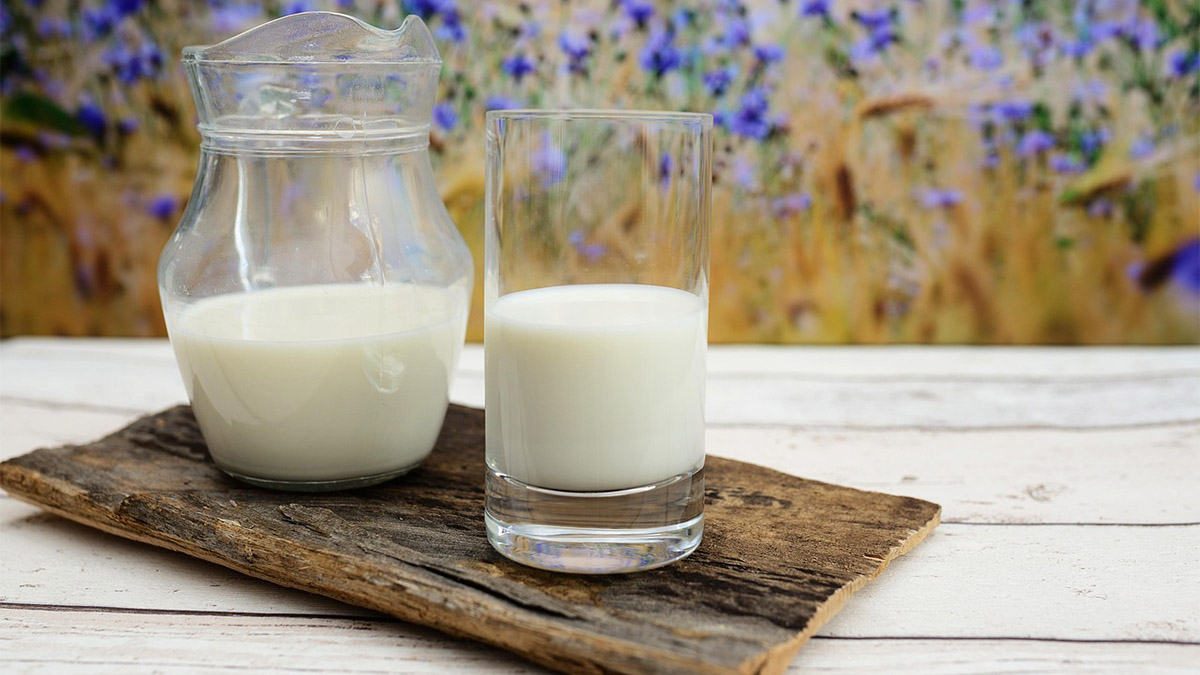 De valor mais acessível, o leite de vaca é uma boa fonte de proteínas, cálcio, vitaminas D e B12 - Foto: congerdesign por Pixabay