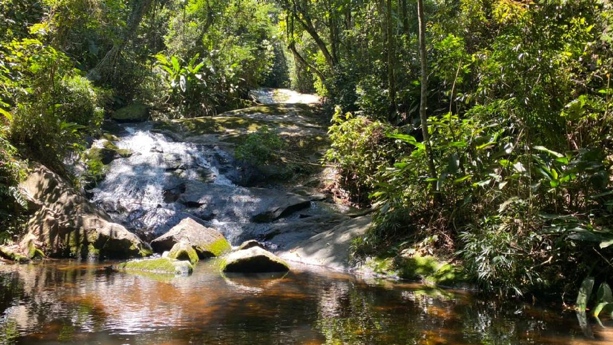 Além das cachoeiras, o local tem rio, árvores centenárias, aves e um histórico cultural. Foto: Reprodução