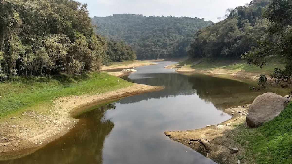 Parque é considerado uma das maiores florestas urbanas do mundo, possuindo em seu entorno uma grande fauna e flora. Foto: Divulgação