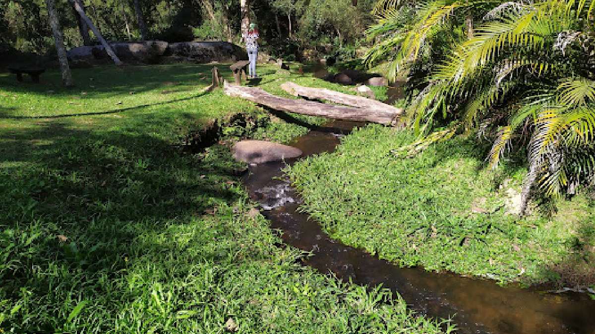 Visitantes também passarão por clareiras, rochas, árvores enormes e por diversas vezes sobre o Rio Engordador, que forma as quedas d'água. Foto: Divulgação