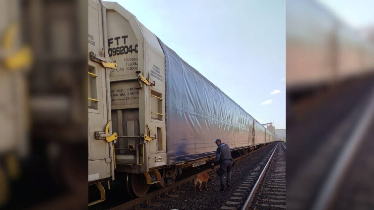 Cães farejadores auxiliaram as equipes na investigação nos vagões de trem e nas barcaças para coibir atividades criminosas. Divulgação/PMESP