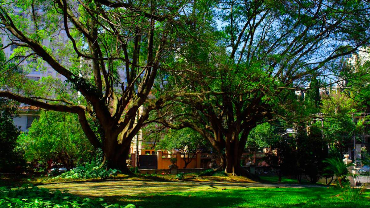 Espaço conta com uma ampla área externa, com um jardim e fontes d'água detalhistas. /Foto: Divulgação