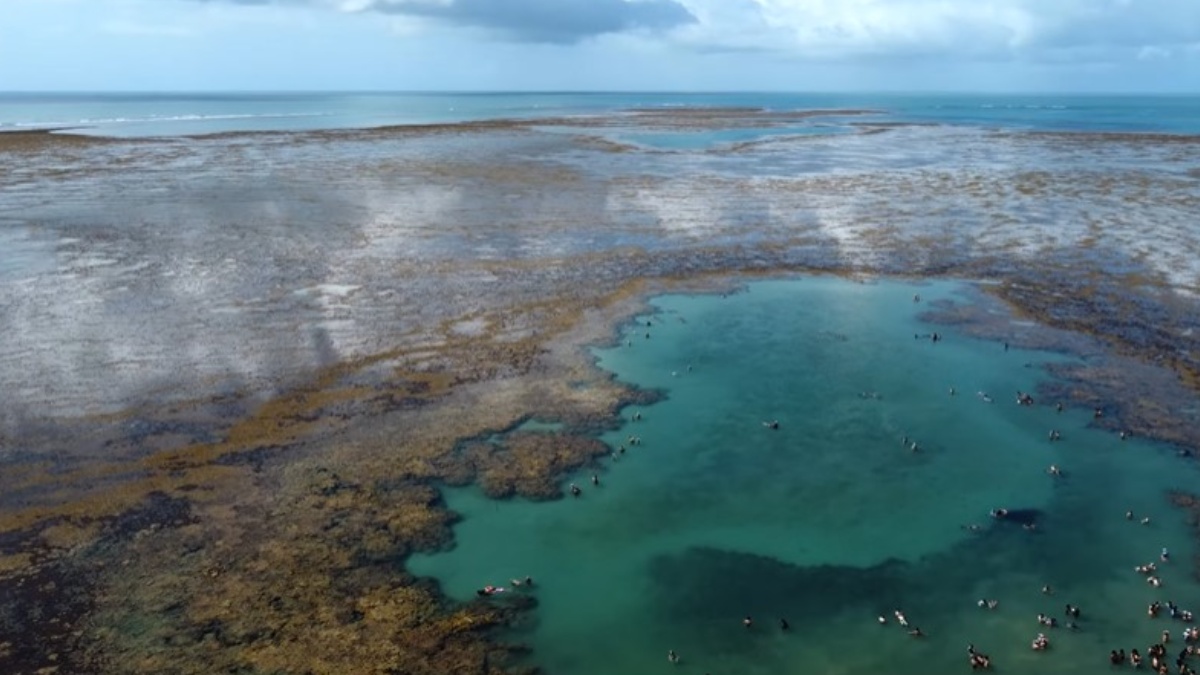 Localizado em Porto Seguro, o Recife de Fora é um dos destinos mais famosos da Bahia. A piscina natural fica a 6 km da costa e é acessível por passeios de barco. Foto: Reprodução/Youtube/de repende nomades