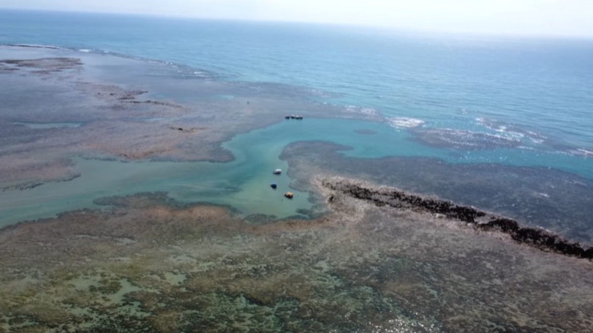 No litoral norte de Alagoas, a Praia do Patacho é famosa por suas piscinas naturais de águas mornas e cristalinas. O cenário inclui coqueirais, falésias e recifes de corais. Foto: Reprodução/Youtube/de repende nomades