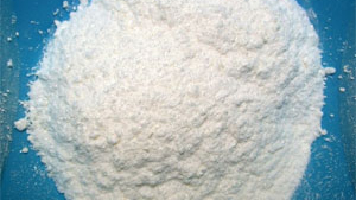 De cada grama da folhas de coca se extrai 4 miligramas de cocaína, por isso embarcar com elas é proibido. Imagem: Wikimedia Commons