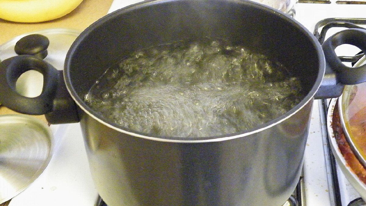 Colocar na água fervente pode derreter a embalagem do alimento. Imagem: GRAN/Wikimedia Commons