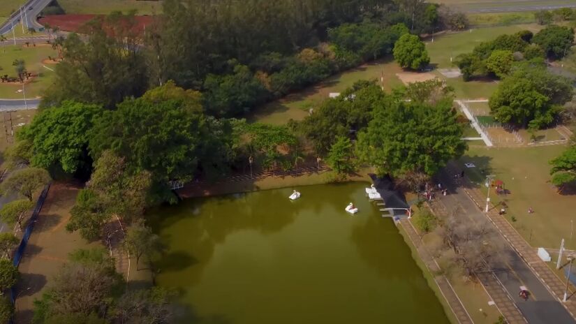A presença da Replan impulsiona a economia de Paulínia, gerando empregos qualificados e aumentando a arrecadação municipal. Isso reflete em indicadores como salários médios e qualidade de vida.