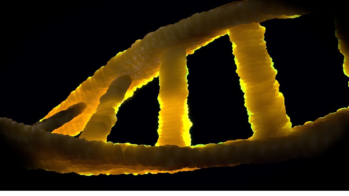 Por que envelhecemos? Sabemos que envelhecer é consequência do encurtamento dos telômeros, pedacinhos do nosso DNA que se desgastam com o tempo. Mas por que isso acontece? E por que os seres humanos não conseguem repor os seus telómeros, como fazem as medusas? Imagem: PxHere