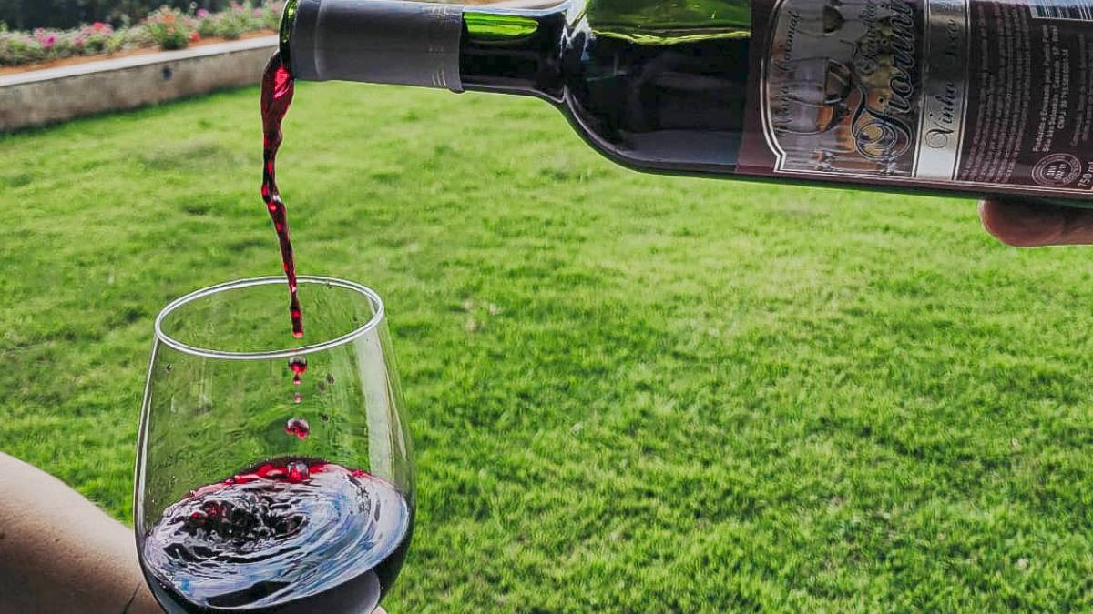 Além disso, Caconde oferece visitas a uma vinícola, onde os visitantes podem explorar o parreiral e degustar alguns vinhos de forma totalmente gratuita - (Divulgação/Turismo Caconde)
