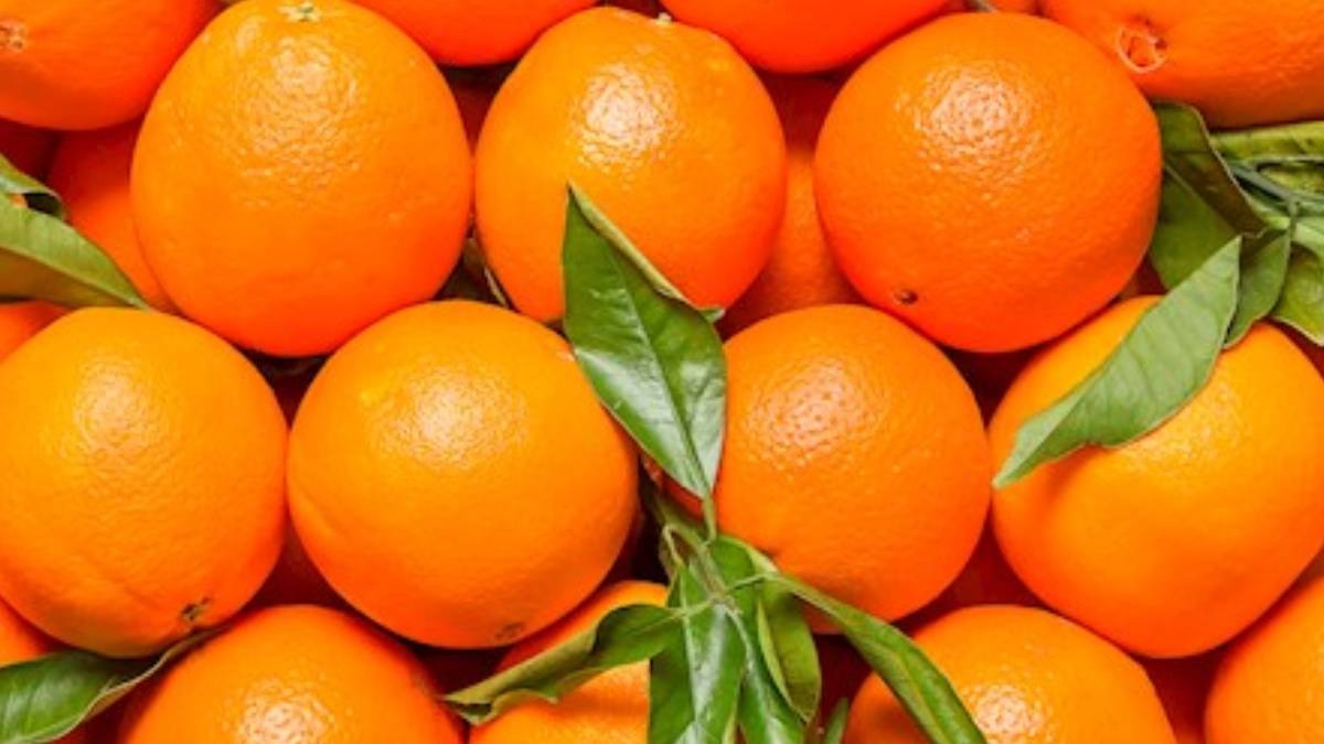 Cítricos valencianos são laranjas, tangerinas e limões cultivados nas províncias de Castellón, Valência e Alicante. Foto: Reprodução/TasteAtlas