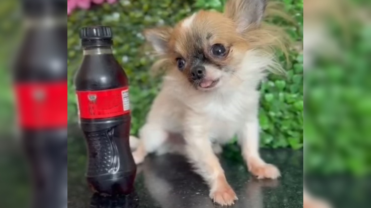 Theodoro ao lado de uma garrafa pet de 200 ml. /Foto: Reprodução/Redes sociais