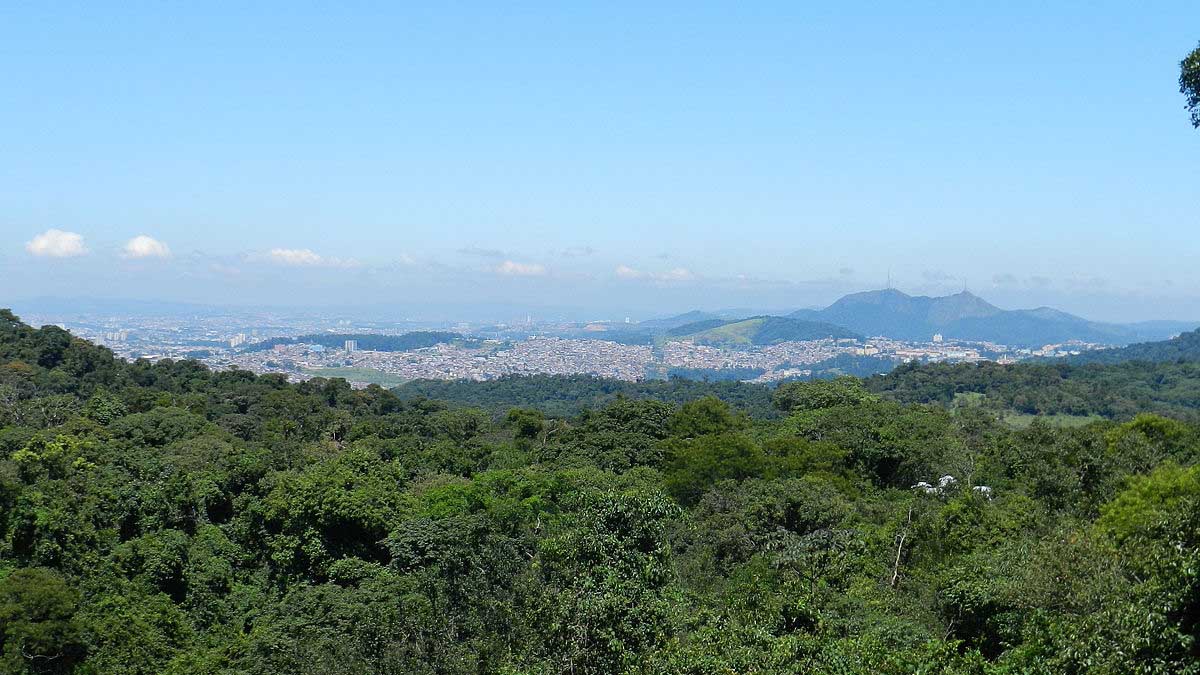 Parque Estadual Cantareira - Foto: Euripides Jr./Wikimedia Commons