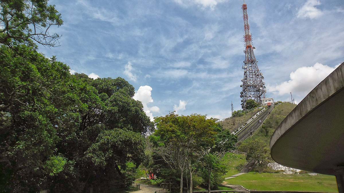 Parque Estadual do Jaraguá - Foto: Fe Hirata/Wikimedia Commons