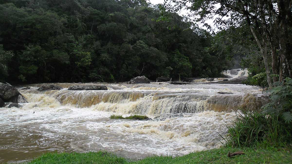 Parque Estadual Serra do Mar Núcleo Cunha - Foto: Fe Hirata/Wikimedia Commons