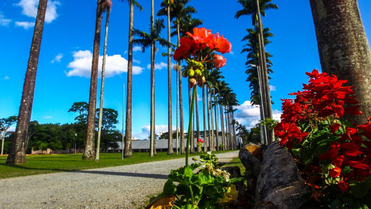 Parque da Cidade fica na avenida Olivo Gomes, número 100. /Foto: PMSJC