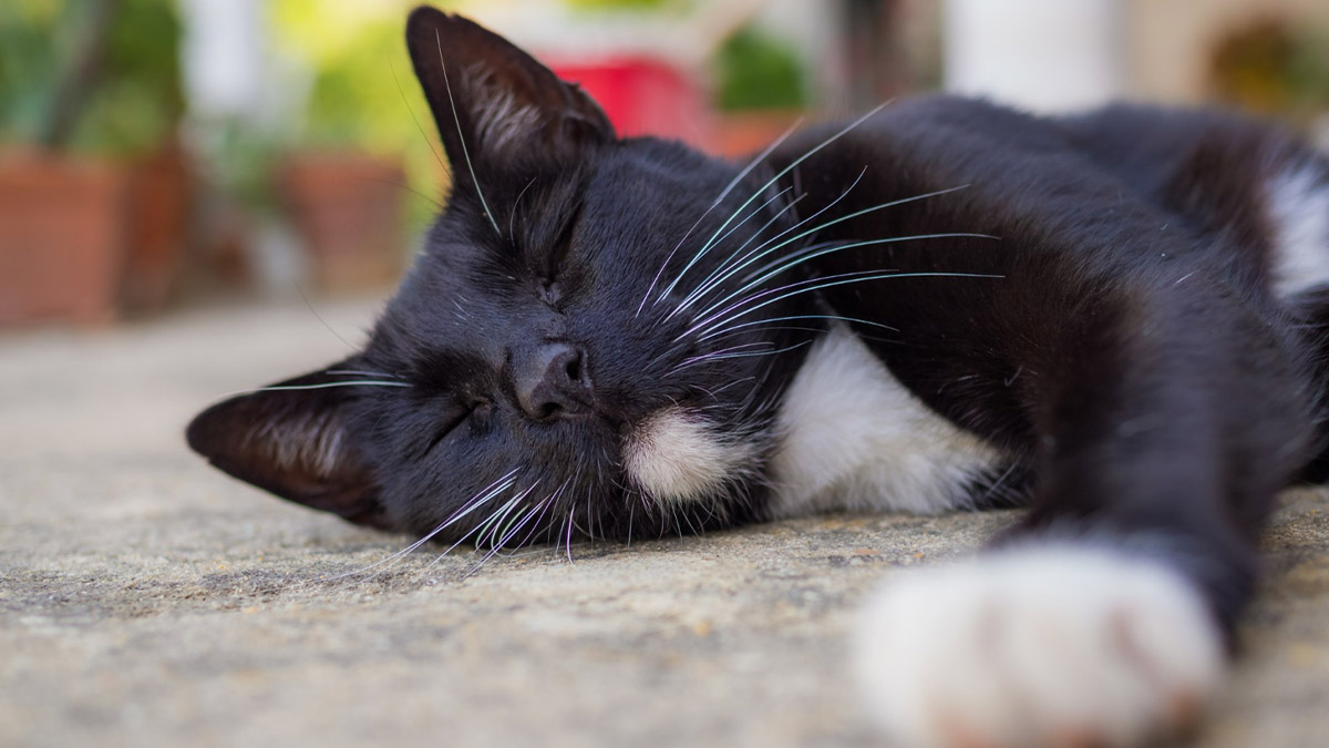 As queimaduras podem ocorrer por contato com fogo, superfícies quentes ou substâncias químicas - Foto: Freepik