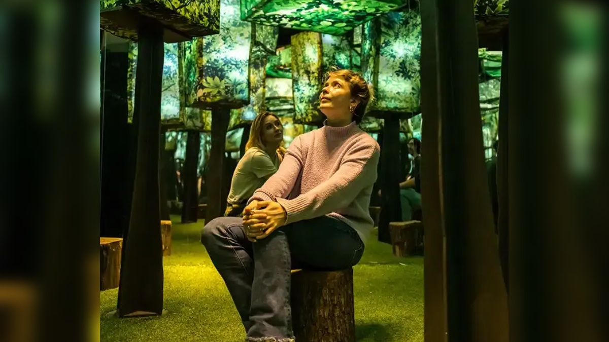 Aproveite o Refúgio da Floresta para se reconectar com a natureza e desperte dopamina de maneiras inesperadas. /Foto: Divulgação