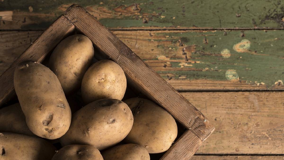 Sabia que a batata pode ser uma aliada no controle da pressão arterial e na saúde do coração? Mas atenção: a maneira como ela é preparada é essencial. Prefira cozida ou assada e sempre com acompanhamento nutricional. Foto: Pixabay