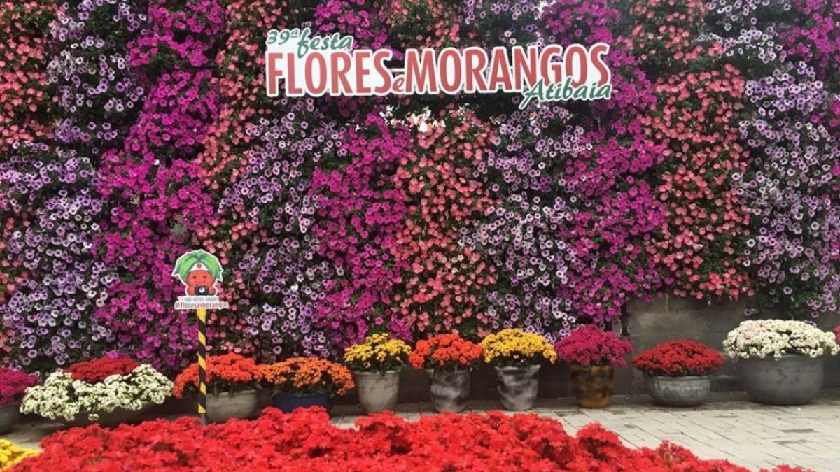 Um dos pontos altos do calendário anual de Atibaia é a Festa das Flores e do Morango, que reúne milhares de visitantes para celebrar a colheita e a tradição japonesa na região. Foto: Prefeitura de Atibaia