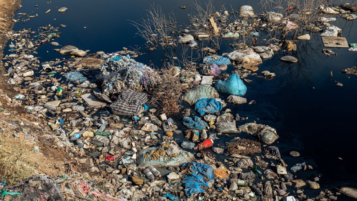 O lixo fica acumulado nas praias, afetando a economia e o meio ambiente (Foto: Collab Media/Pexels)