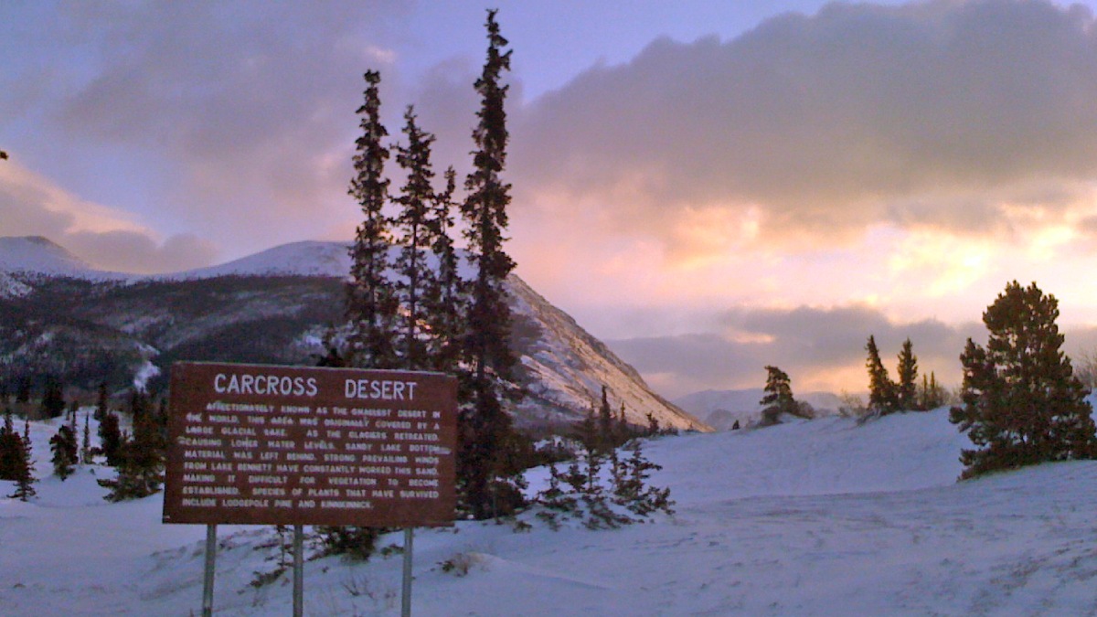 Um dos menores desertos do mundo é o de Carcross, no Canadá, que cobre uma área de aproximadamente 2,6 km². Foto: Wikimedia Commons