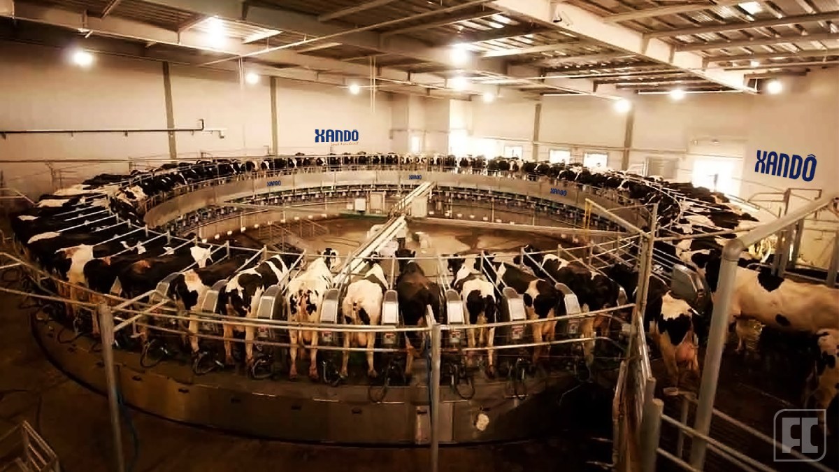 Foram gastos em 2011, um valor de aproximadamente R$ 70 milhões em uma nova sala de ordenha rotatória automatizada. A máquina, que ordenha as vacas no curral, pode alimentar até 450 vacas por vez. Foto: Divulgação/Fazenda Colorado