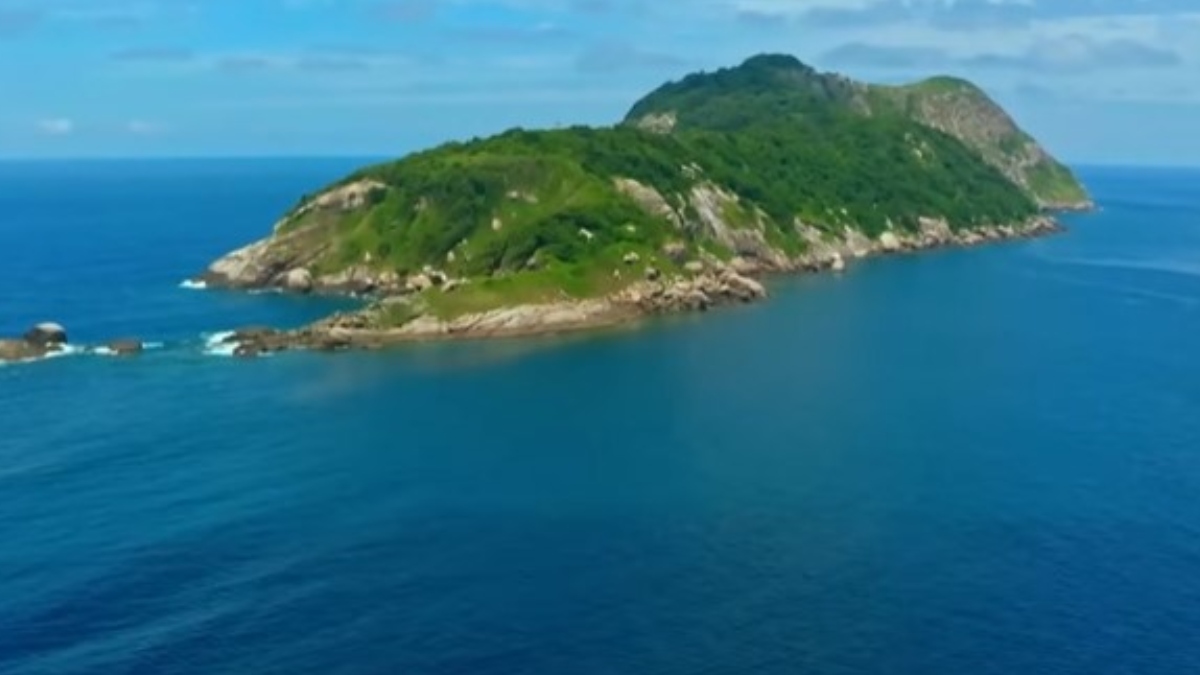 Mesmo os pesquisadores e especialistas que vão na Ilha da Queimada Grande tomam os cuidados necessários. A caminhada é sempre com vestimenta adequada e atenção constante. Foto: Reprodução/Youtube/National Geographyic Brasil