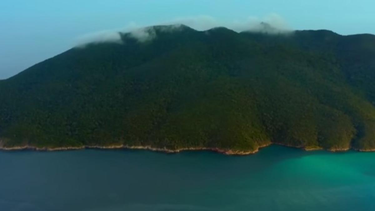 A Ilha da Queimada Grande é reservada apenas para pesquisadores ambientais e pescadores, que necessitam de aval das autoridades para se aproximar do recinto. Foto: Reprodução/Youtube/National Geographyic Brasil