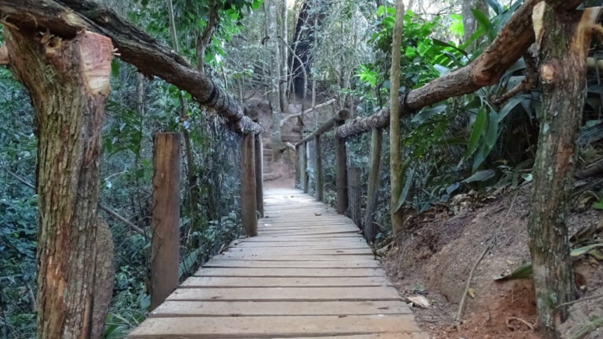 Uma das principais atrações é o Zooparque Itatiba, um zoológico particular que abriga cerca de 1.000 animais de mais de 180 espécies diferentes, incluindo o rinoceronte-branco, o elefante indiano e o tigre-de-bengala. Foto: Divulgação/Zooparque