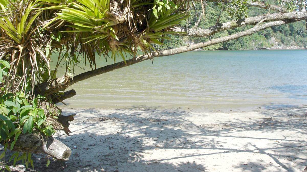 Local conta com apenas 1 km de extensão e não oferece muita sombra. A areia é bem branca e fofa, se tornando um desafio devido ao cansaço e ao calor - (Divulgação/Secretaria Municipal e Turismo)
