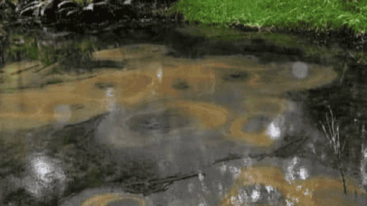 Fervedouros surgem do resultado de nascentes que emergem com pressão intensa, criando o fenômeno que faz com que o visitante não afunde na água /Fotos: Prefeitura de Apiaí