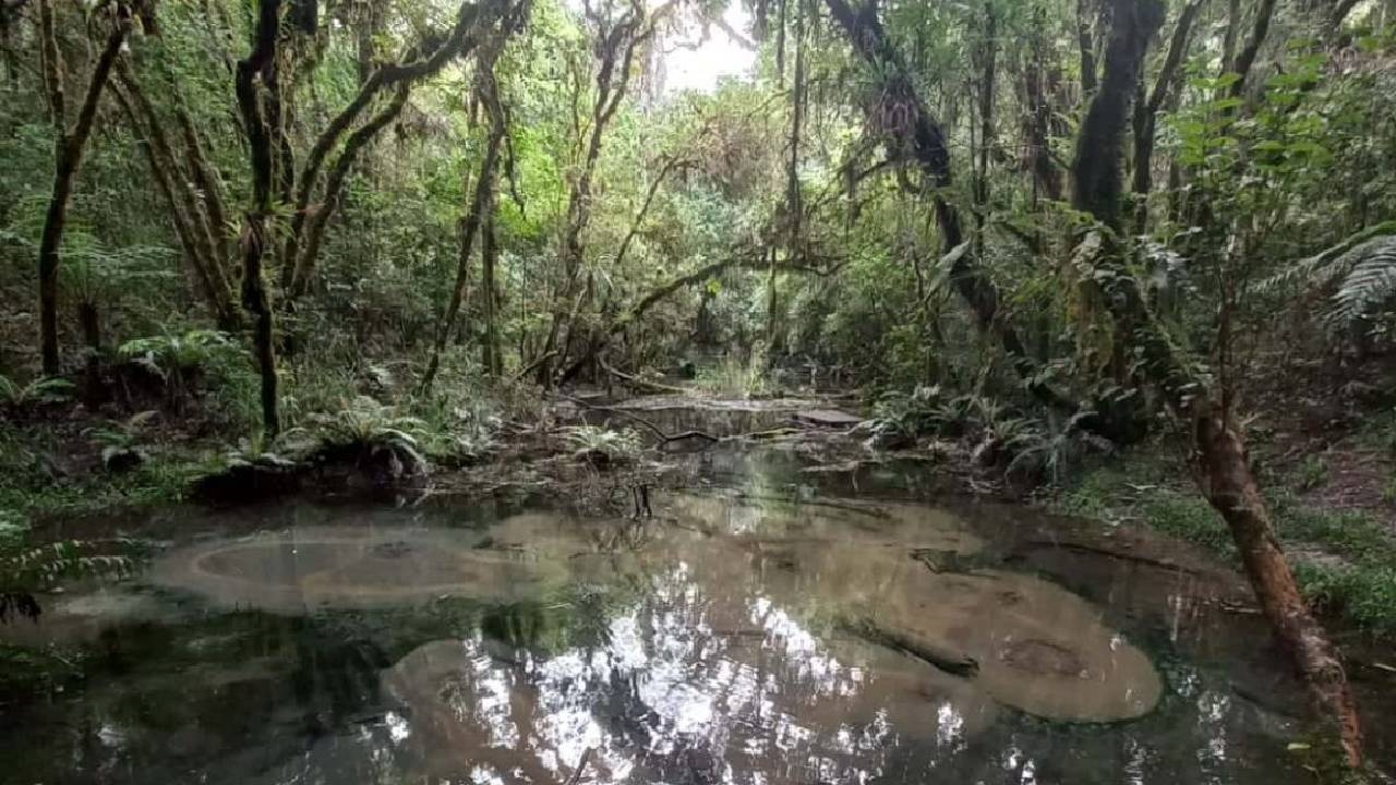 Moradores acreditam que o fervedouro foi criado por divindades místicas. Foto: Prefeitura de Apiaí