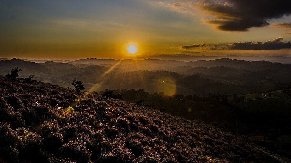Pôr do sol no lavandário é um ótimo programa romântico. Imagem:Giselle Camargo/Wikimedia Commons