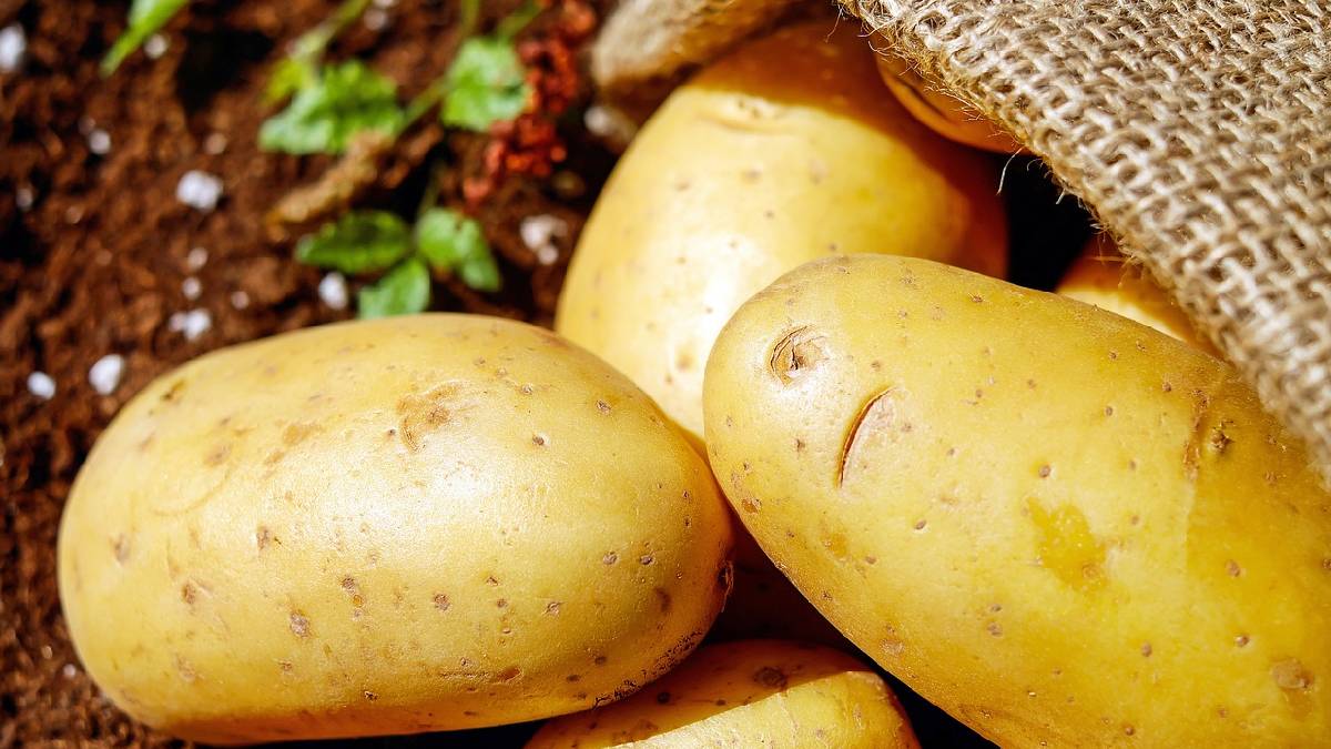 A batata é poderosa: rica em fibras, vitaminas e Gaba, ela ajuda a controlar o sono, reduzir o estresse e ainda pode contribuir no controle da glicemia desde que bem preparada. Evite frituras e prefira a versão assada ou cozida. Foto: Pixabay
