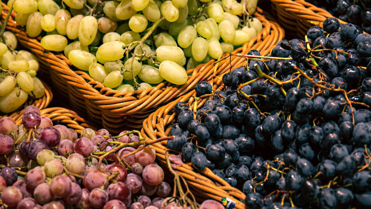 Uvas: A uva ajuda na limpeza das artérias, de acordo com o estudo da Universidade da Califórnia. Os taninos e as antocianinas, mais presentes nas uvas roxas e pretas, e a clorofila, presente nas uvas verdes, são compostos bioativos com ação antioxidante que combatem os radicais livres - (Pvproductions/Freepik)