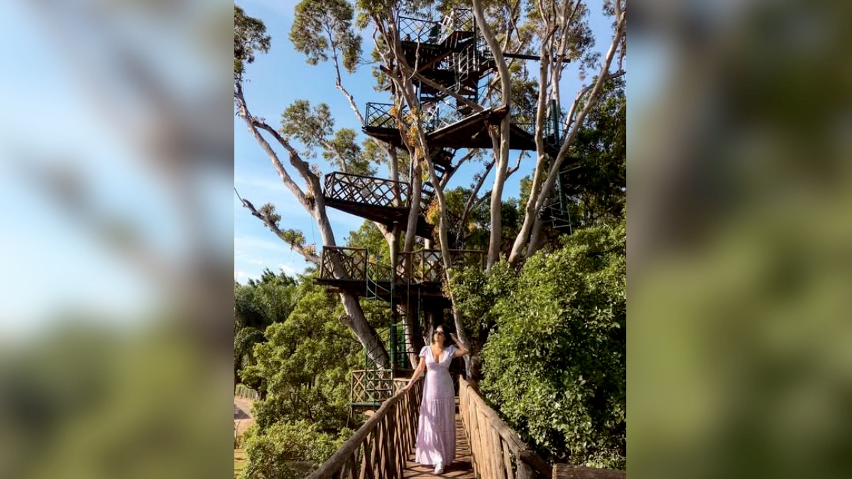 Árvore com formato de dragão é uma das grandes atrações do parque. Foto: Divulgação