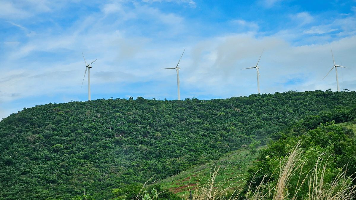 Projeto pode complementar energia eólica. Imagem: Agência Senado