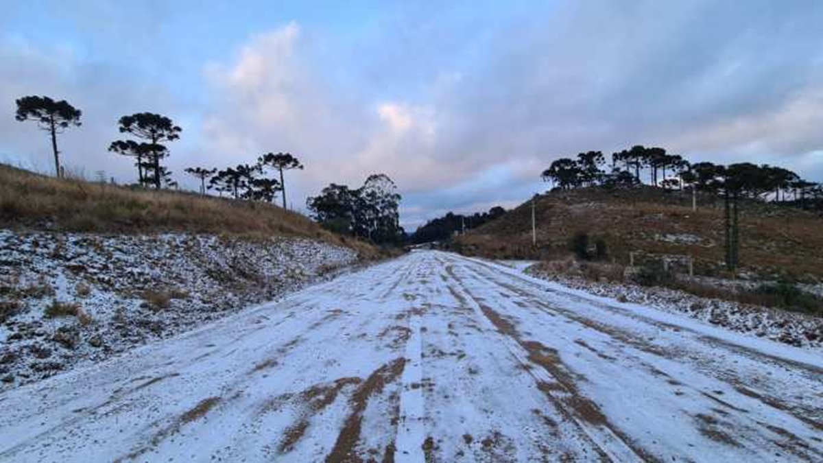 Menor temperatura do ano foi registrada em 22 de maio, quando os termômetros marcaram -3,2 °C em São Joaquim (SC)/Mycchel Legnaghi/São Joaquim Online
