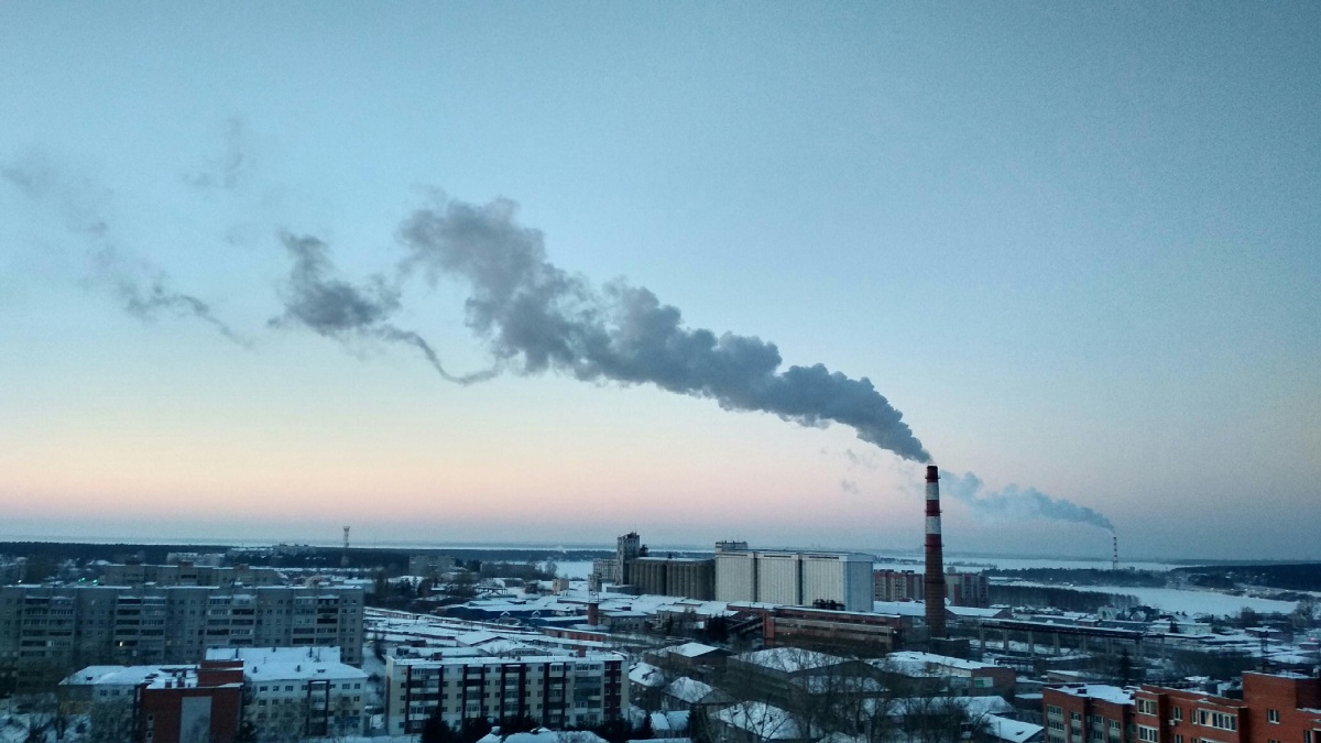 Emissão de poluentes na atmosfera é responsável direto pelo fim das hortênsias. Imagem: Natalie Dmay/Pexels