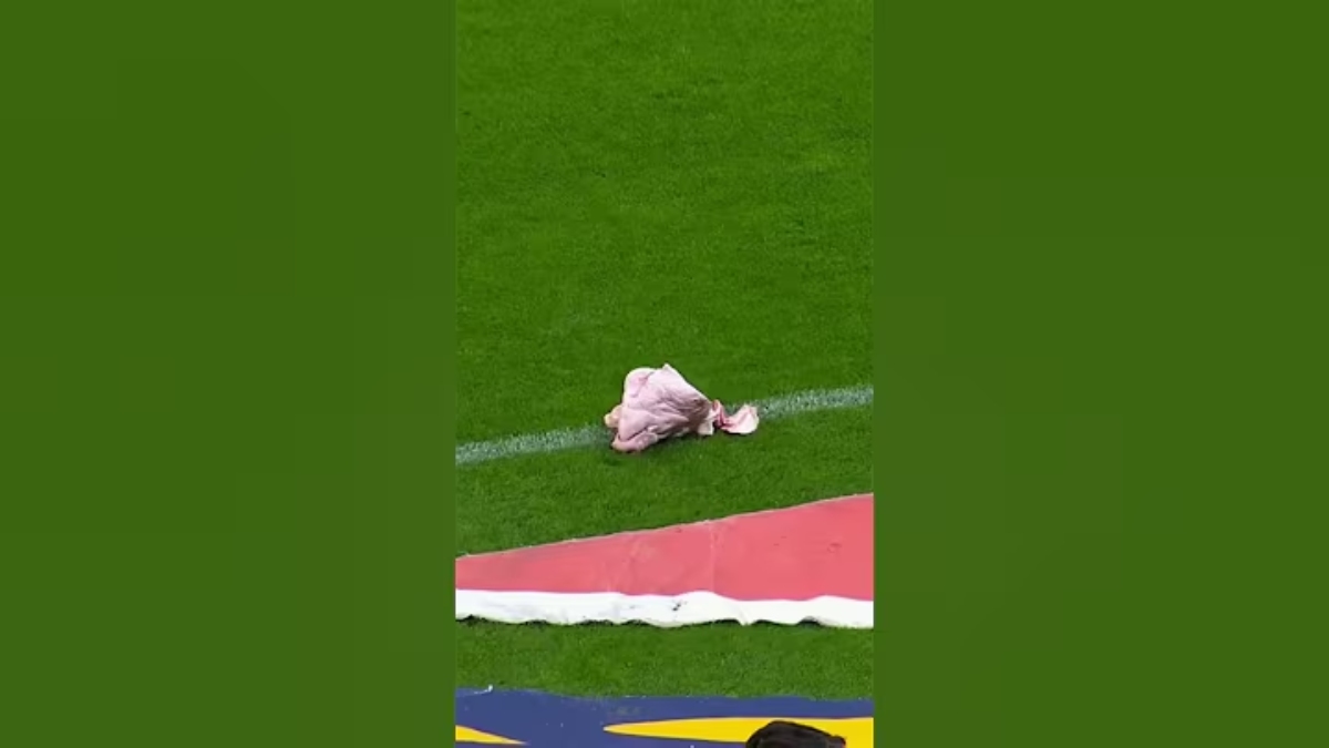 Em um jogo no Campeonato Brasileiro, Corinthians e Palmeiras se enfrentaram na Neo Química Arena. Durante a partida, uma cabeça de porco foi arremessada para o gramado, fazendo a alusão para o clube alviverde. (Foto: Reprodução/Youtube)