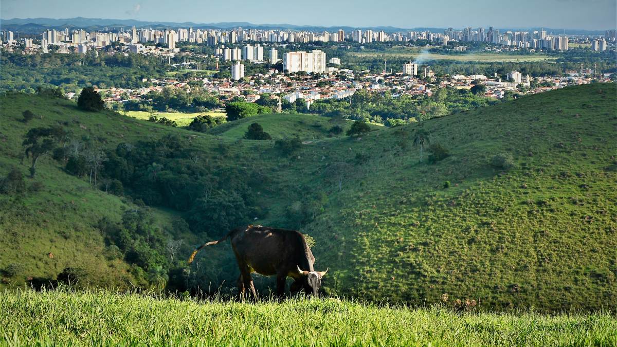 Espaços verdes, opções culturais e iniciativas que promovem o engajamento comunitário também são fatores que enriquecem a experiência de viver em São José dos Campos, tornando-a referência em felicidade urbana.