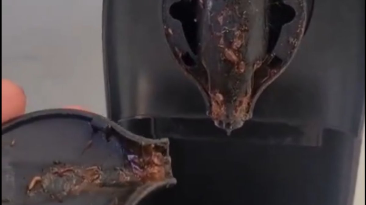 A infestação pode ser grande e estar em mais de uma parte da máquina (Foto: Reprodução/X)
