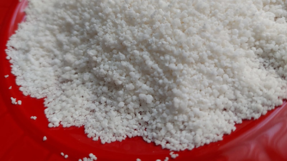 Tapioca não possui glúten. Imagem: Linason Blessing/Wikimedia Commons