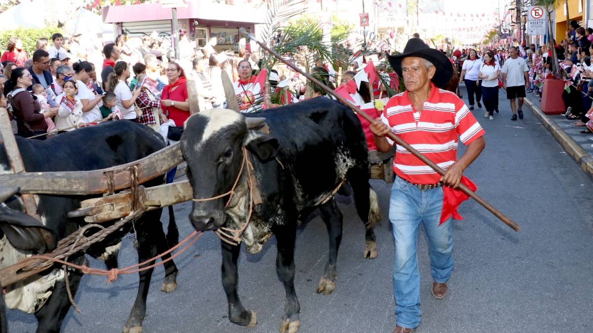 O trajeto médio de carro para quem sai de São Paulo até o local do evento é de cerca de 45 minutos, para a distância média de 48 km. Divulgação/Festa do Divino