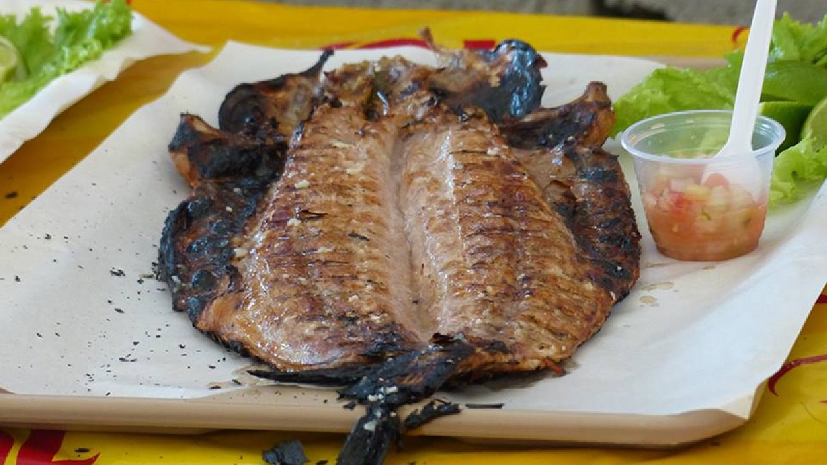 Tradicional tainha espalmada na brasa é o prato mais aguardado do evento. Divulgação